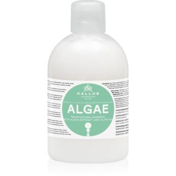 Kallos KJMN Professional Algae hydratační šampon s výtažkem z řas a olivovým olejem 1000 ml