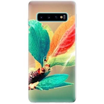 iSaprio Autumn pro Samsung Galaxy S10 (aut02-TPU-gS10)