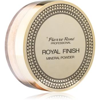 Pierre René Professional Royal Finish minerální sypký pudr 6 g