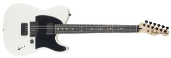 Fender Jim Root Telecaster EB FW