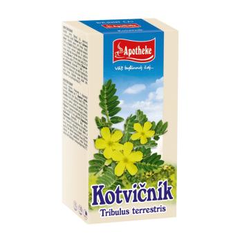 Apotheke Kotvičník zemní nálevové sáčky 20x1,5 g