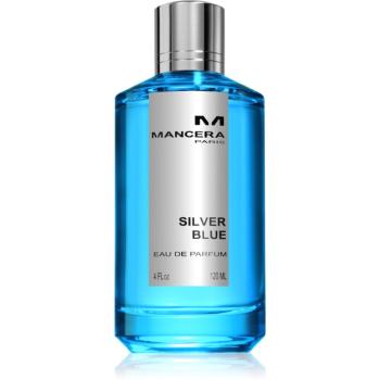 Mancera Silver Blue parfémovaná voda unisex 120 ml