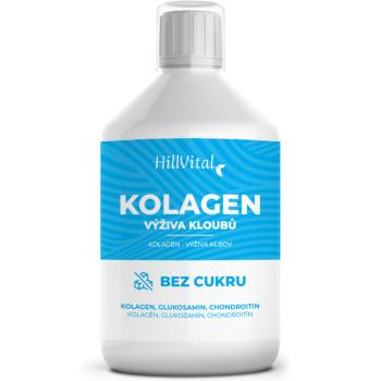 HillVital Kolagen - podpora kloubů