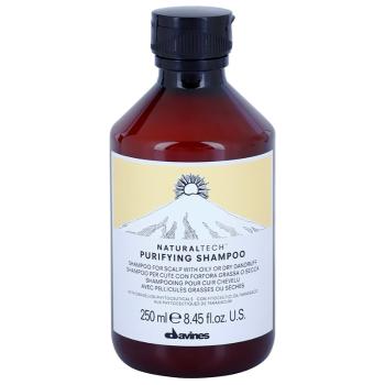 Davines Naturaltech Purifying Shampoo čisticí šampon proti lupům 250 ml