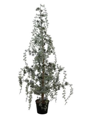 Zelený vánoční borovicový stromek v květináči se světýlky Pine Tree - 120 cm 39100000