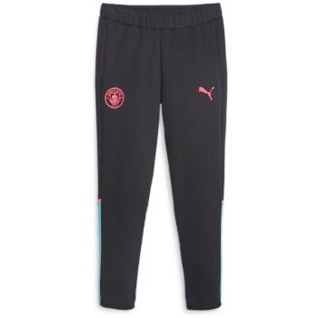 Puma MANCHESTER CASUALS PANTS Pánské tepláky, černá, velikost