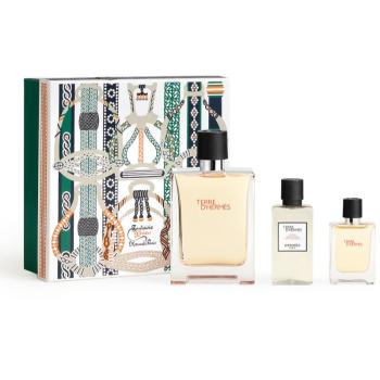 HERMÈS Terre d’Hermès Christmas limited edition dárková sada pro muže