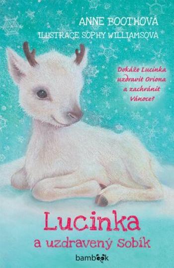 Lucinka a uzdravený sobík - Boothová Anne - e-kniha