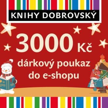 Vánoční e-shopová dárková poukázka 3000 Kč