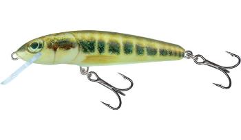 Salmo Wobler Minnow Sinking 7cm - Minnow