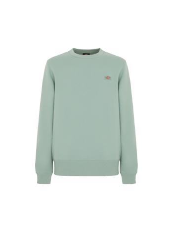 DICKIES Tréning póló 'OAKPORT'  zöld