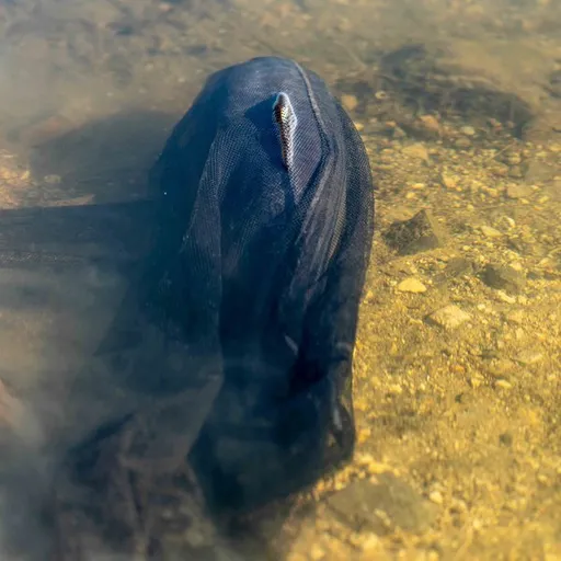 Nash náhradní síťka air force landing net mesh 46" deep