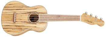 Fender Zuma Exotic Concert Ukulele WN SM