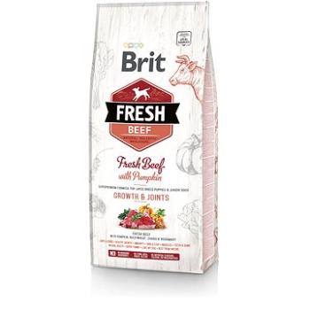 Brit Fresh beef with pumpkin puppy large 12 kg (8595602530755)