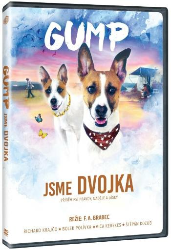 Gump - jsme dvojka (DVD)