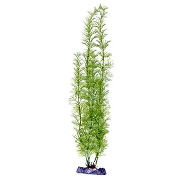 Penn Pla Flowering Cabomba Super 45,5 cm (0030172055621)