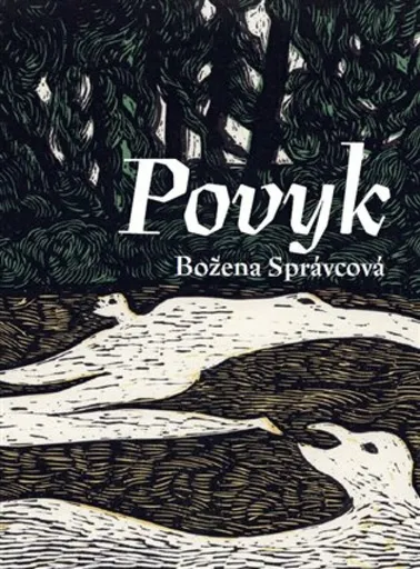 Povyk - Božena Správcová, Ladislav Sýkora