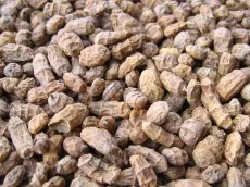 Nikl tygří ořech standard 6 - 12 mm 1 kg