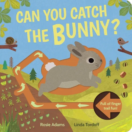Can You Catch the Bunny? - Linda Tordoff, Rosie Adams