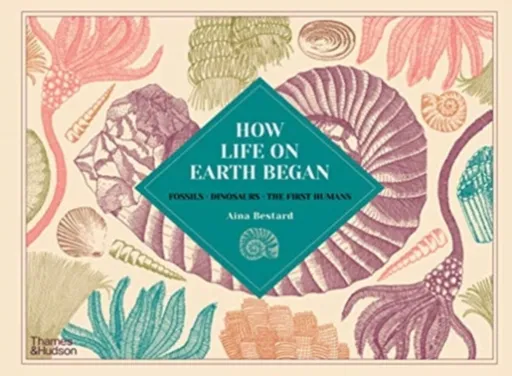 How Life on Earth Began - Aina Bestard