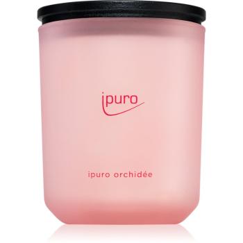 ipuro Classic Orchidée lumânare parfumată 270 g