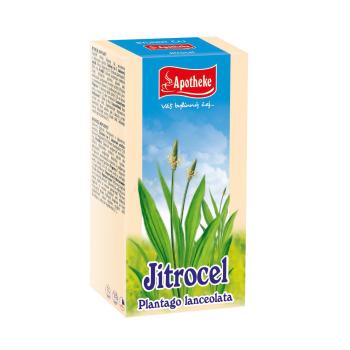 Apotheke Jitrocel nálevové sáčky 20x1,5 g