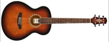 Ashton SL29 barva TSB (tobacco sunburst)