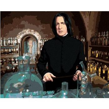 Zuty - Malování podle čísel - SEVERUS SNAPE V UČEBNĚ LEKTVARŮ (HARRY POTTER), 40x50 cm, vypnuté plát (HRAmmb00063nad)