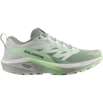 Salomon SENSE RIDE 5 40 2/3