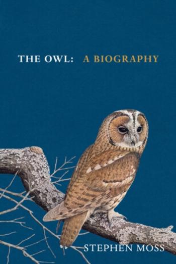 The Owl - Moss Stephen