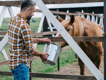 Farmářem na zkoušku aneb den s koňmi