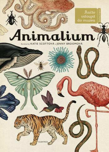 Animalium (Defekt) - Katie Scott, Jenny Broomová