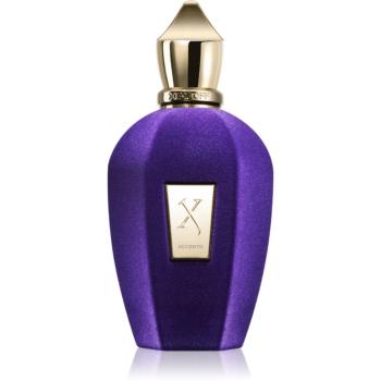 Xerjoff Accento parfémovaná voda unisex 100 ml