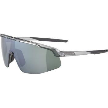 Alpina Sports TURBO PRO Q-LITE Napszemüveg, szürke, méret