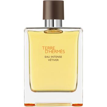 HERMÈS Terre d’Hermès Eau Intense Vétiver parfémovaná voda pro muže 200 ml