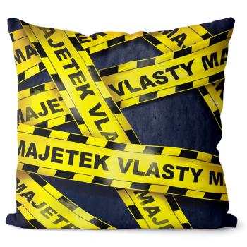 Polštář Majetek + jméno – ženská jména (Velikost: 55 x 55 cm, Jméno: Vlasta)