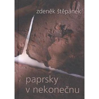 Paprsky v nekonečnu (80-86546-59-4)