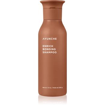 AYUNCHE Enrich Bonding Shampoo intenzivně regenerační šampon pro poškozené vlasy 200 ml
