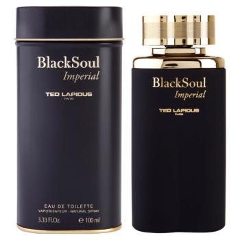 Ted Lapidus Black Soul Imperial toaletní voda pro muže 100 ml