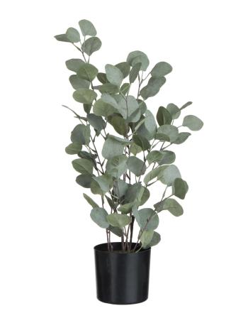 Dekorace Eucalyptus v květináči - Ø14*60 cm 87581