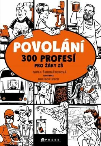 Povolání - Pavla Šmikmátorová - e-kniha