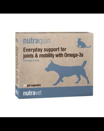 NUTRAVET Nutraquin 45 Omega-3 caini si pisici suport articulatii si mobilitate