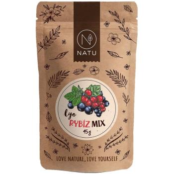 NATU Lyo mix rybíz mrazem sušené ovoce 45 g