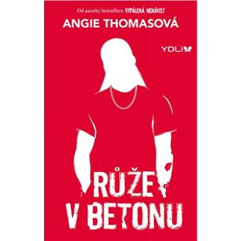 Růže v betonu (978-80-242-8444-6)