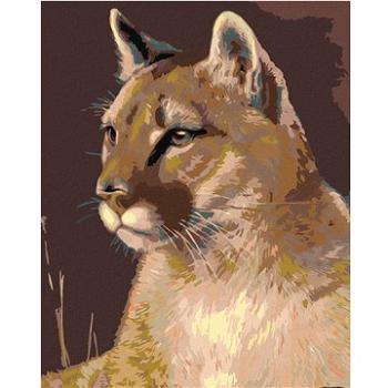 Diamondi - Diamantové malování - PUMA, 40x50 cm, Vypnuté plátno na rám (603983B)