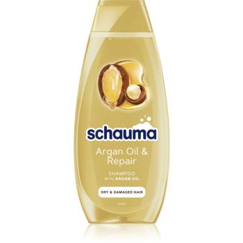 Schwarzkopf Schauma Argan Oil & Repair obnovující šampon pro suché a poškozené vlasy 400 ml