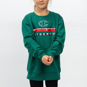 Champion Crewneck Sweatshirt XS