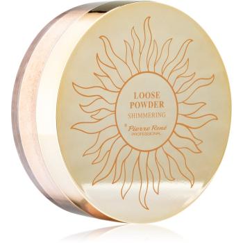 Pierre René Professional Shimmering bronzující rozjasňující pudr 6 g