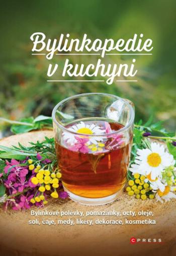 Bylinkopedie v kuchyni - Martin Chvapil