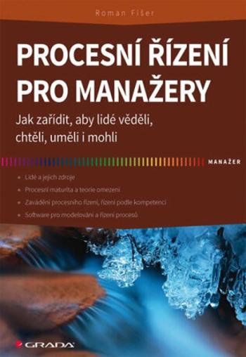 Procesní řízení pro manažery - Jak zařídit, aby lidé věděli, chtěli, uměli i mohli - Roman Fišer